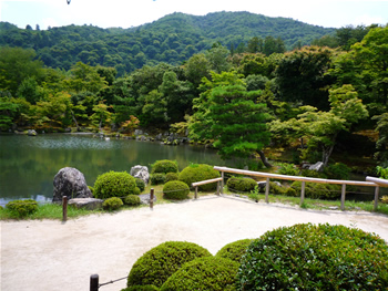 P1000341.jpg