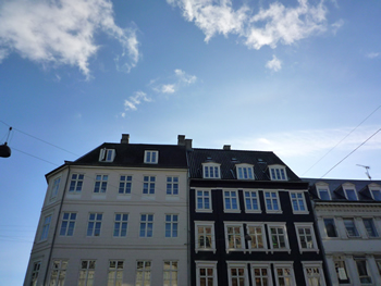 P1000937.jpg